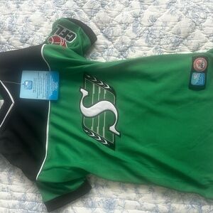 Green and Black CFL Jersey Dog